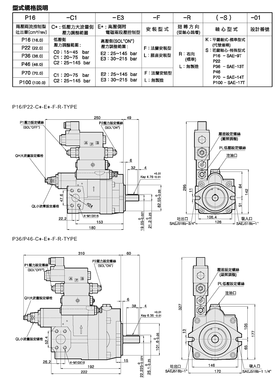 piston pump specification